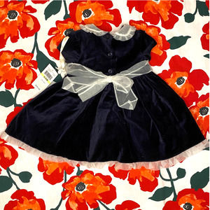 NWT Laura Ashley London Navy Velour Baby Girl / Infant Dress Sz 3-6M